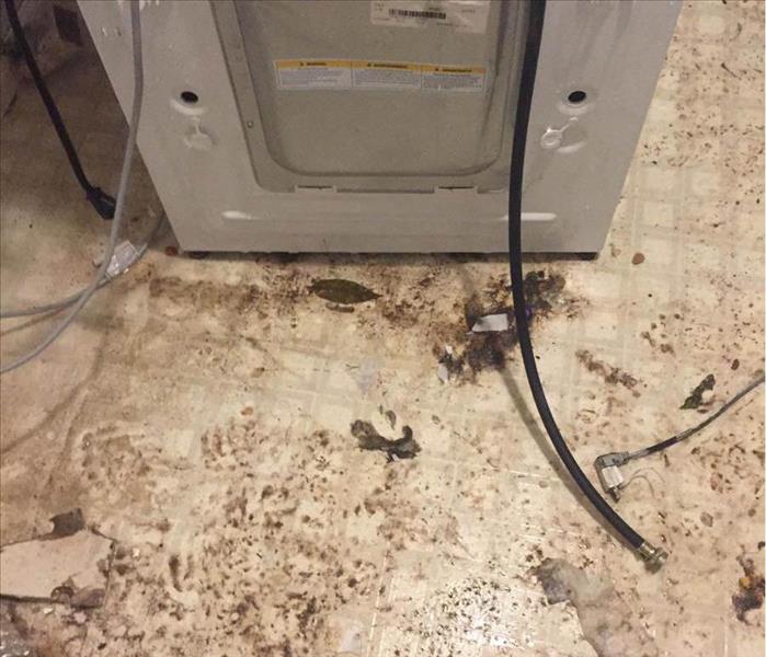 Water damage in laundry room